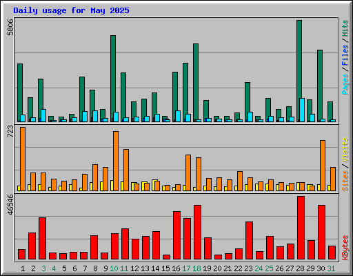 Daily usage for May 2025