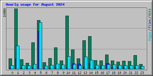 Hourly usage for August 2024