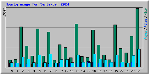 Hourly usage for September 2024