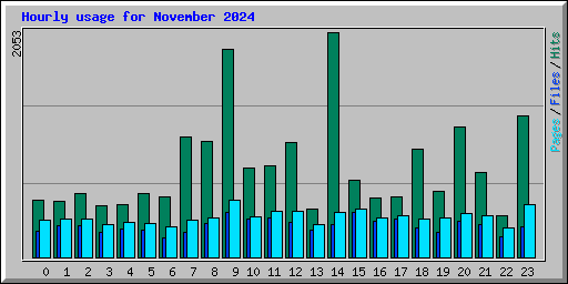 Hourly usage for November 2024