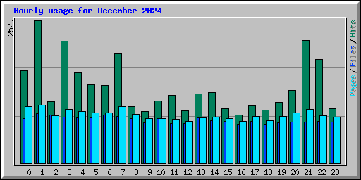 Hourly usage for December 2024