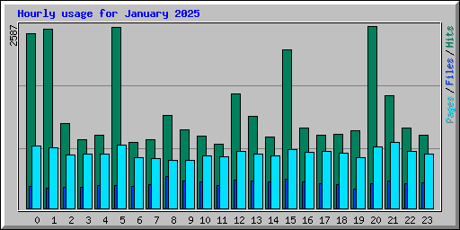 Hourly usage for January 2025