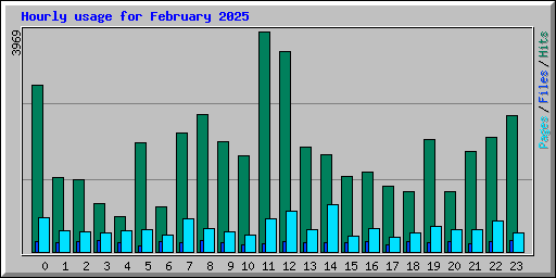 Hourly usage for February 2025