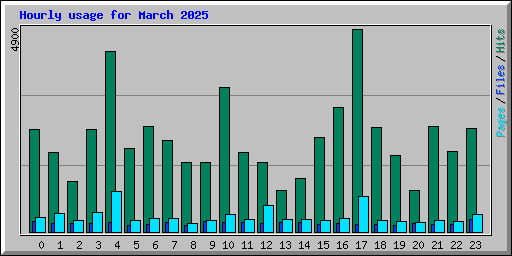 Hourly usage for March 2025