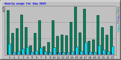 Hourly usage for May 2025