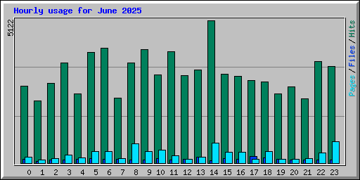 Hourly usage for June 2025