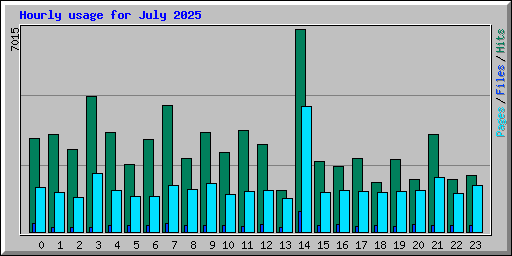 Hourly usage for July 2025