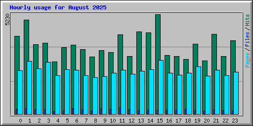 Hourly usage for August 2025