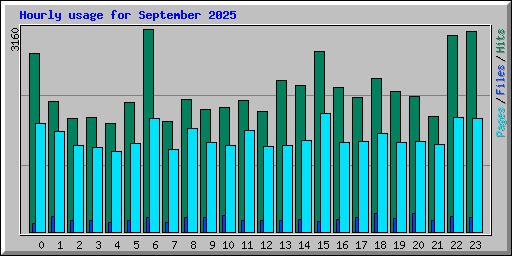 Hourly usage for September 2025