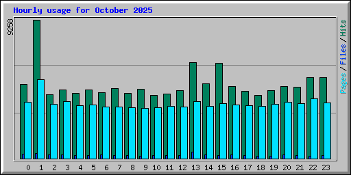 Hourly usage for October 2025