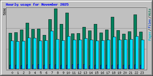 Hourly usage for November 2025