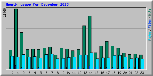 Hourly usage for December 2025