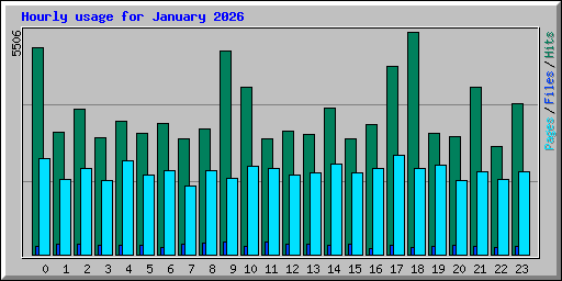 Hourly usage for January 2026