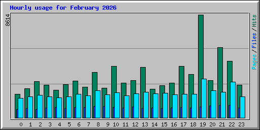 Hourly usage for February 2026