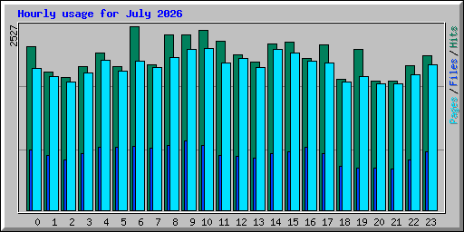 Hourly usage for July 2026